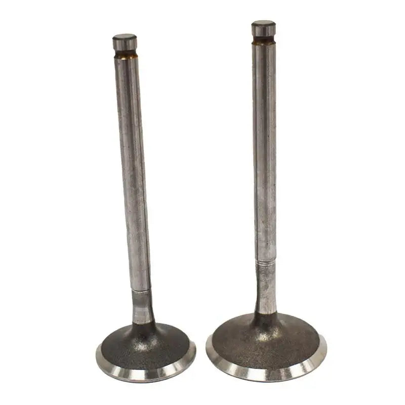 Engine Valve Pair | Polaris | RZR 170