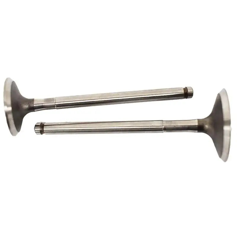 Engine Valve Pair | Polaris | RZR 170