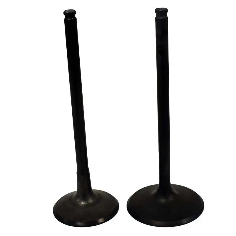 Engine Valve Pair | Polaris | Sportsman 550 09-14