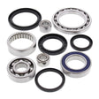 Differential Bearing And Seal Kit – Yamaha YFM 450 Grizzly 2011- 2014 ( Rear ) Mud Hawgz Uk