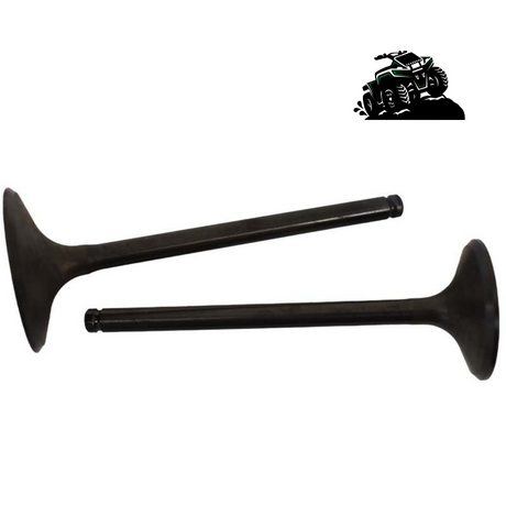 Engine Valve Pair Honda  TRX420 FA FE FM  500FE FM - Mud Hawgz Off-Road