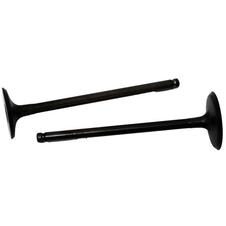 Engine Valve Pair | Kawasaki | KVF360 03-11 Mud Hawgz Uk