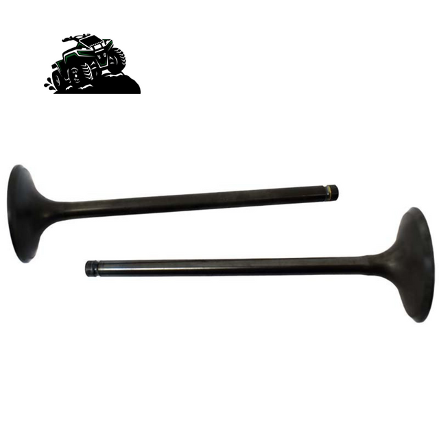 Engine Valve Pair  Honda TRX680FA /FGA - Mud Hawgz Off-Road