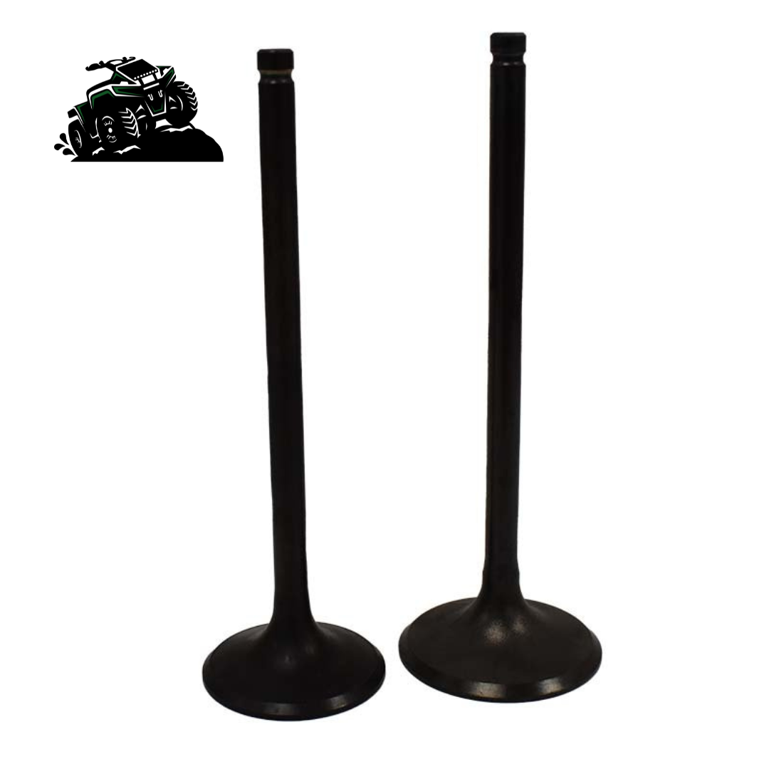 Engine Valve Pair  Honda TRX680FA /FGA - Mud Hawgz Off-Road