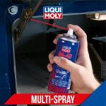 LIQUI MOLY Multipurpose Spray - Mud Hawgz Off-Road