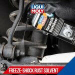 LIQUI MOLY Freeze Shock Rust Solvent - Mud Hawgz Off-Road