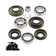 Differential Bearing And Seal Kit – Honda ( Rear ) TRX 680 06 - 07Vehicle Parts & Accessories:ATV, Side - by - Side & UTV Parts & Accessories:Steering & Suspension:A - Arms & SwingarmsMud Hawgz Uk