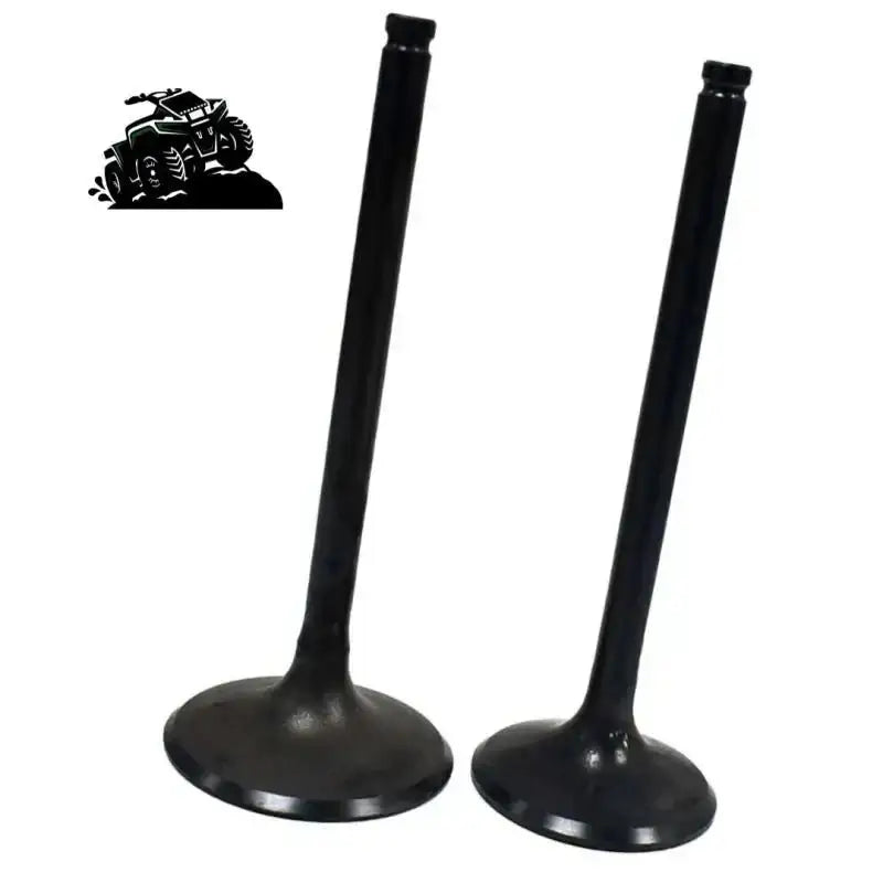 Engine Valve Pair Honda TRX420 FA FE FM 500FE FMVehicle Parts & Accessories:ATV, Side - by - Side & UTV Parts & Accessories:Steering & Suspension:A - Arms & SwingarmsMud Hawgz Uk