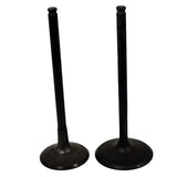 Engine Valve Pair | Polaris | Sportsman 550 09-14