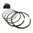 Piston Ring Kit – Honda TRX 420 FA/FE/FM/TE/TMOS 0.25 2007 – 2013Vehicle Parts & Accessories:ATV, Side - by - Side & UTV Parts & Accessories:Body & Frame:Body Parts, Doors & Fenders:FendersMud Hawgz Uk